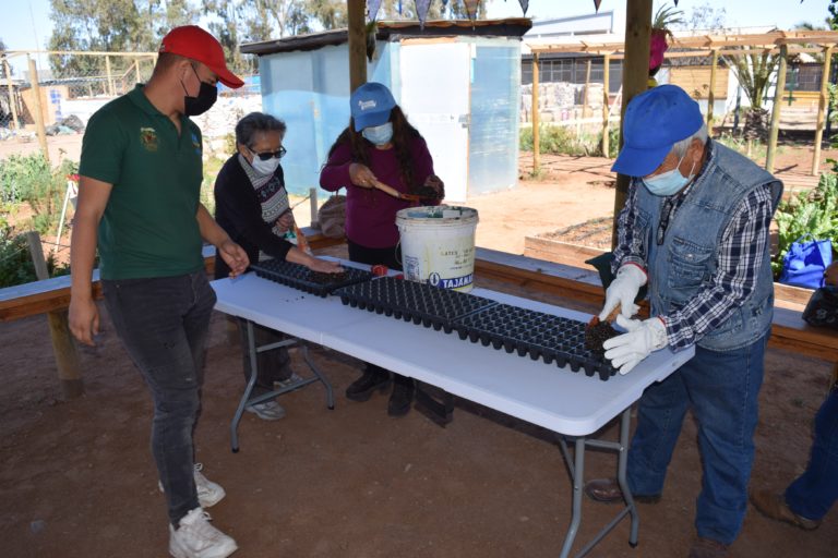 p4_huertos_comunitarios_salud_mental_2