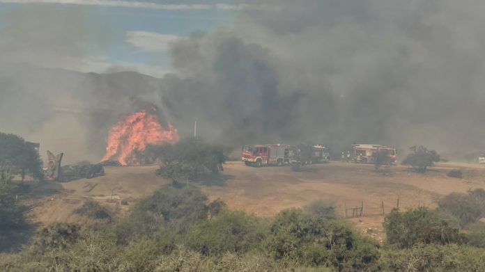 p4_incendio_forestal_la_granjita_punitaqui_1