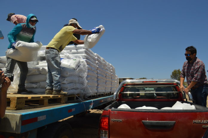 p3_entrega_de_alimentos_caprinos_2