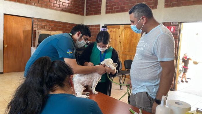 p4_operativos_de_bienestar_animal_secundaria