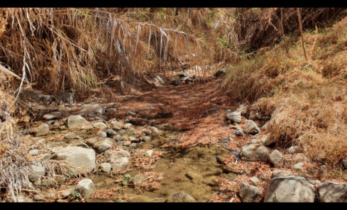 p3_fiscalizacion_de_rios_en_deuda_en_rio_hurtado