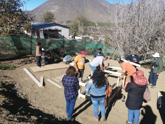 p7_agricultores_de_zonas_rezagadas_construyen_mesas_hidroponicas