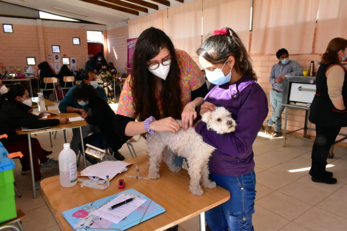 p4_ordenanza_de_tenencia_de_mascotas_en_rio_hurtado