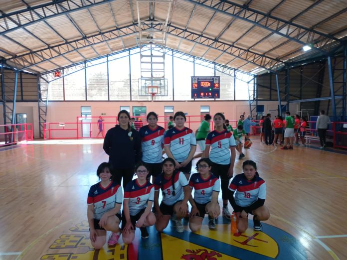 p8_foto_2_colegio_san_viator_basquetbol