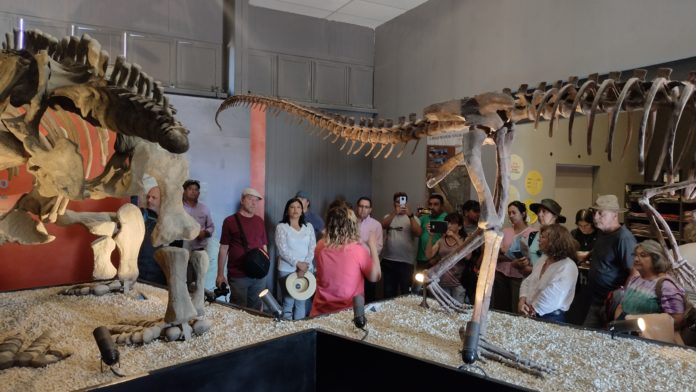 p6_paleontologas_internacionales_realizaran_asesoramiento_cientifico_en_rio_hurtado