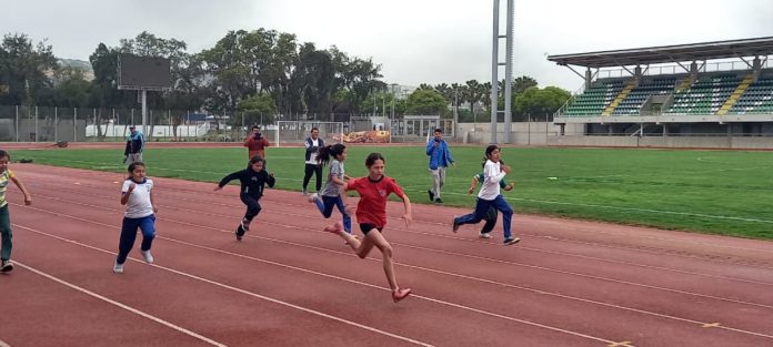 p8_secundaria_juegos_predeportivos_escolares