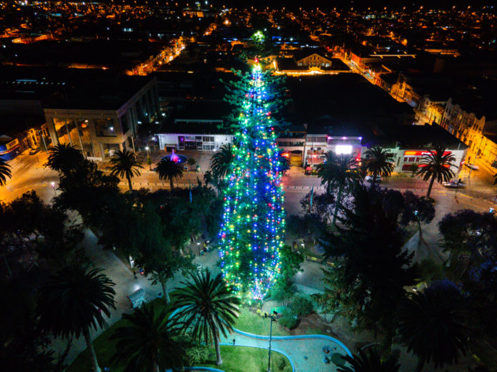 arbol_de_navidad_de_ovalle_2