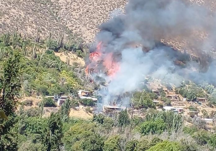 p3_incendio_forestal_en_colliguay_en_monte_patria