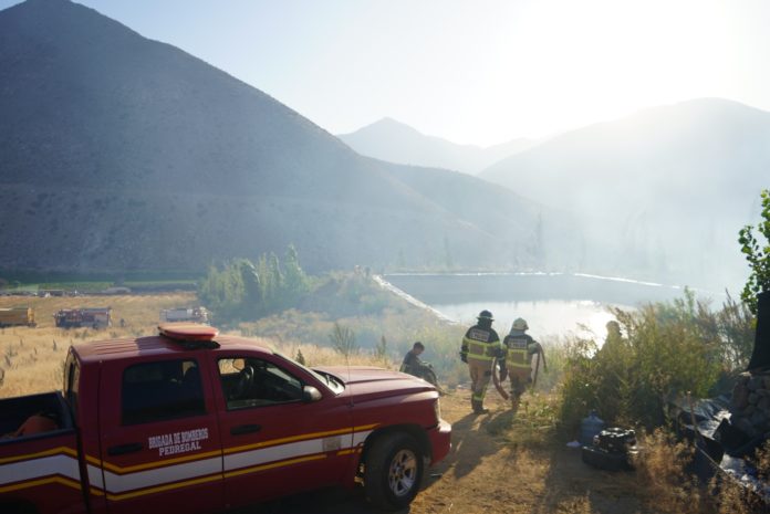 p3_incendio_forestal_en_colliguay_en_monte_patria_2