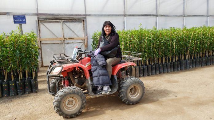 p7_mujeres_en_la_agricultura