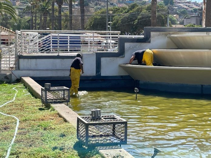 p6_inician_proceso_de_mantencion_del_espejo_de_agua_de_la_alameda