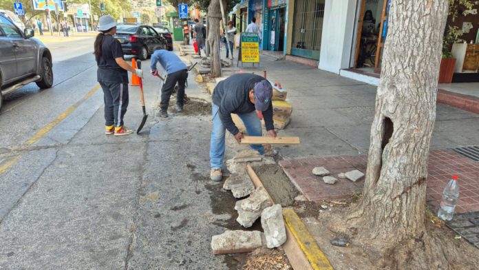 Cuadrillas municipales se encuentran reparando calles y veredas cercanas a recintos de educación.