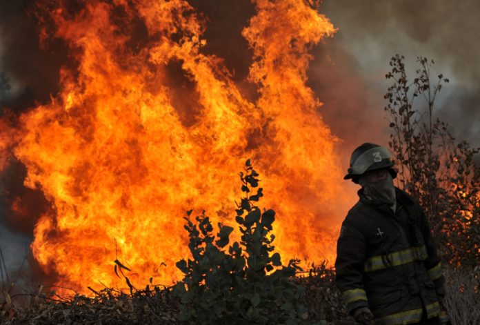 p2_balance_de_incendios_forestales_en_la_provincia